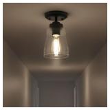 GLASS ONLY 5 in Farmhouse Ceiling Light