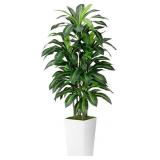 ASTIDY Artificial Plant 5FT Dracaena Fake Tree