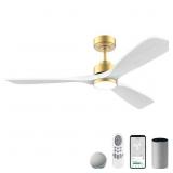 52 in Smart Outdoor Ceiling Fan with Lights