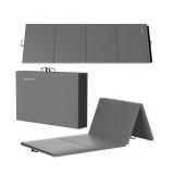 BalanceFrom GoGym 4