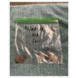 Bag of Old Coins