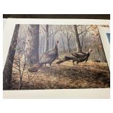 Maynard Reece Oak Forest-Turkey, Misc