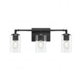 Helenwood 22-in 3-Light Vanity Light
