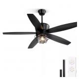 52in Outdoor Black Ceiling Fan with Lights