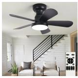Damaged Depuley Black 28-Inch Ceiling fan W/ light