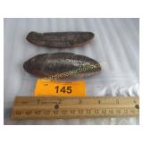 1 to 10 million year old fossil