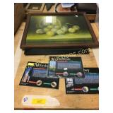 State coins, pictures