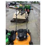 Poulan Pro push mower