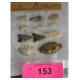 Collections of chipped stone arrow head