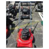 LawnFlite push mower