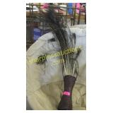 Basket of peacock feathers