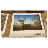 Larry Zach "Big city bucks"signed & num