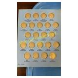 Buffalo nickel collection in book (21 nickels)