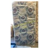 Twin mattress and box spring
