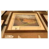 John Berhardt signed  & framed print