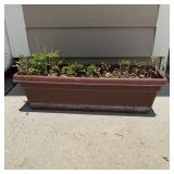 24" Plastic Rectangular Window Box Planter
