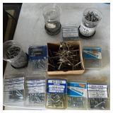 Assorted Wood Screws