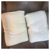 (2) 20" Pillows