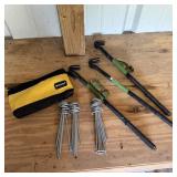 Assorted Tent Stakes with Ticonn Bag