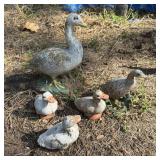 (5) Concrete Duck Garden Statues/Figures