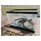 Fish Tank with Marbles