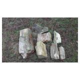7 Pieces large Petrified Wood