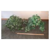 (2) PLASTIC HANGING PLANTS
