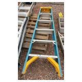 WERNER 6' LADDER