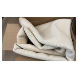 Tan rug with bound edges 10