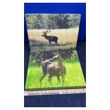 (2) PHOTOGRAPHY FROM ART EXPRESSIONS CANVAS PRINTS