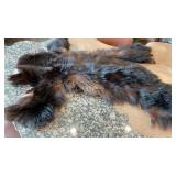 BLACK BEAR SKIN HIDE