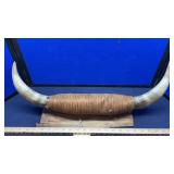 BULL HORNS MEASURES 23'W