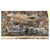 (3) PETRIFIED WOOD PIECES