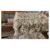 (4) SMALL SQUARE HAY BALES