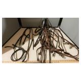 HEADSTALLS & LEAD ROPS