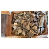 ASSORTED FOSSILS & ROCKS