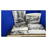 (4) FOREST SERVICE CANVAS WALL HANGINGS
