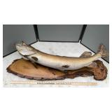 NORTHERN PIKE APPROX 40+/- INCHES