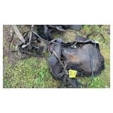 (2) SADDLES & HARNESS PARTS