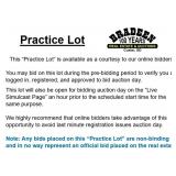PRACTICE LOT