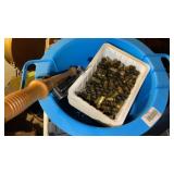 GUN CLEANING KIT, BRASS & AMMO CASES