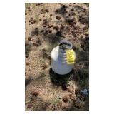 (2) LP BOTTLES