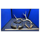 DEER ANTLERS, PRONG HORN,& BUFFALO CAPS