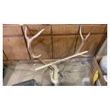 4x5 ELK EUROPEAN MOUNT