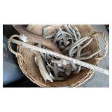 ASSORTED ANTLERS