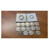 (16) BUFFALO NICKLES