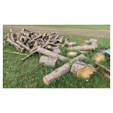 Assorted pine logs for firewood