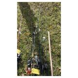 (6) ZEBCO 33, SHIMANO, WILCOR FISHING RODS