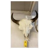 BLEACHED BUFFALO SKULL