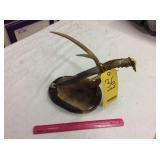 DOYLE YANCEY Designer Collection Knife W/Display